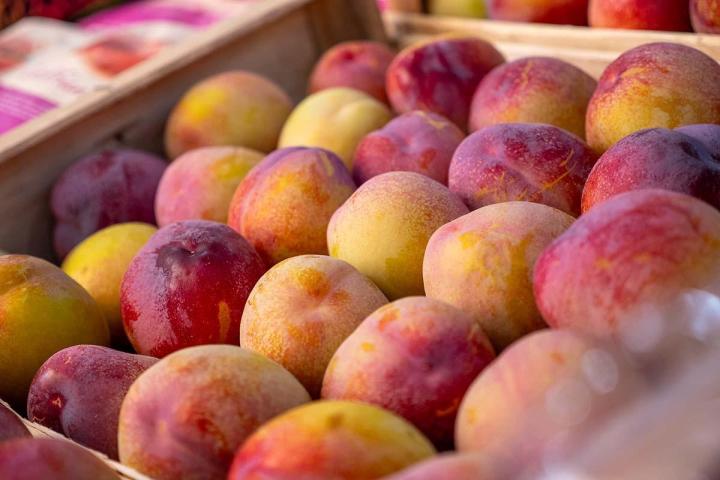 Producteur de fruits et légumes à Lamotte-du-Rhône