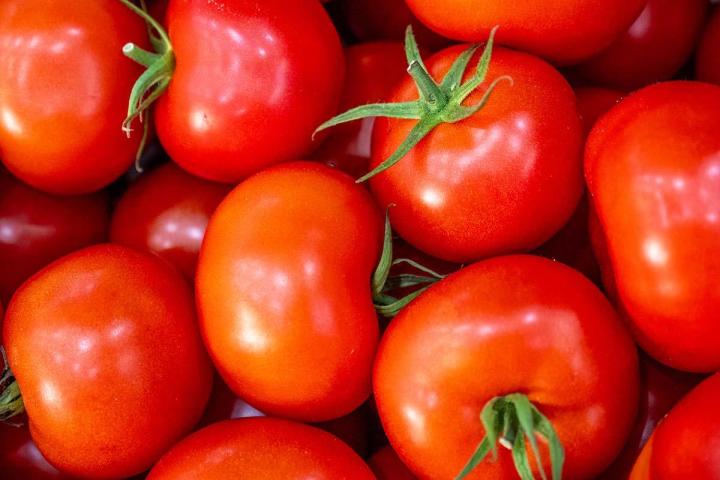 Producteur de fruits et légumes à Lamotte-du-Rhône