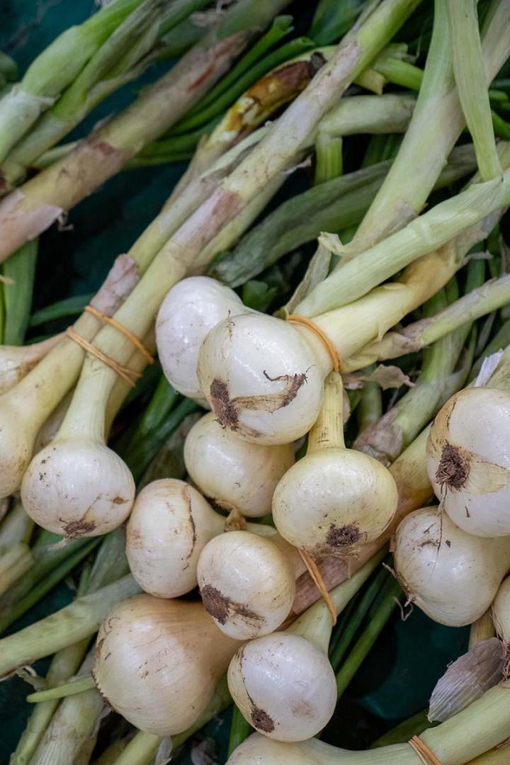 Épicerie à Lamotte-du-Rhône