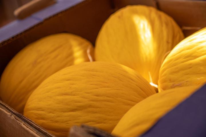 Producteur de fruits et légumes à Lamotte-du-Rhône