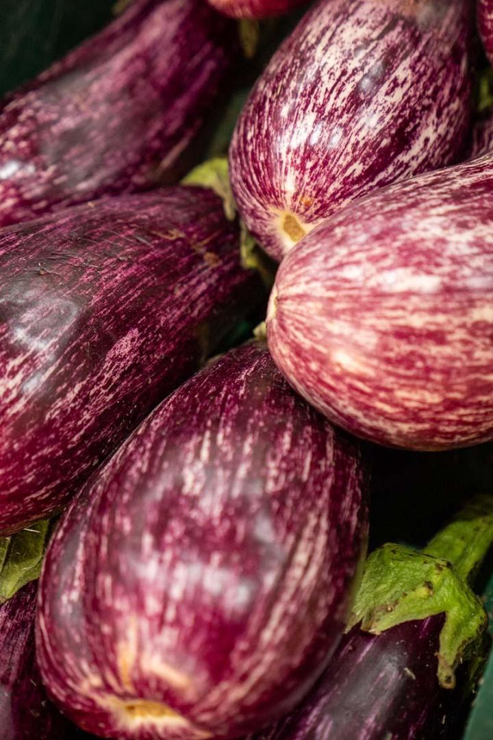 Producteur de fruits et légumes à Lamotte-du-Rhône