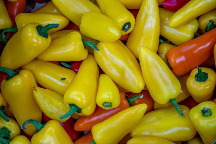 Producteur de fruits et légumes à Lamotte-du-Rhône