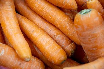 Producteur de fruits et légumes à Lamotte-du-Rhône