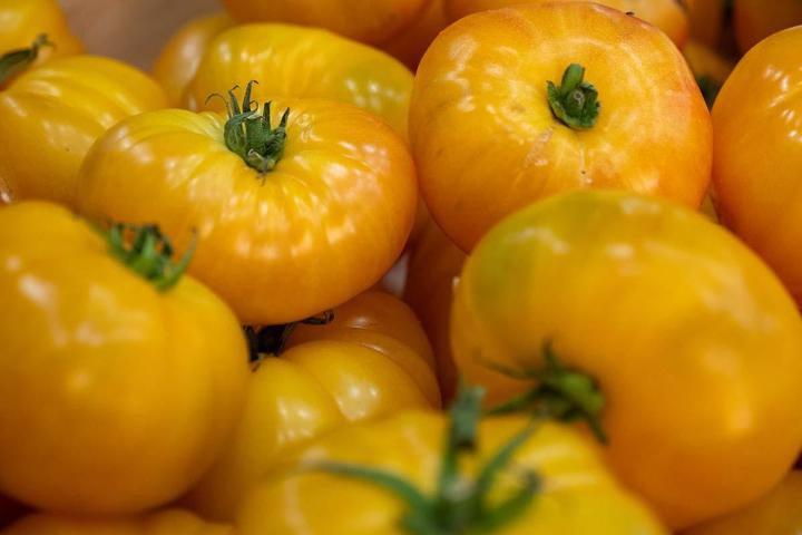 Producteur de fruits et légumes à Lamotte-du-Rhône