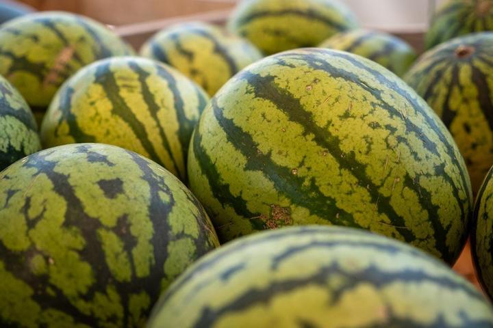 Fournisseur de fruits et légumes Lamotte-du-Rhône
