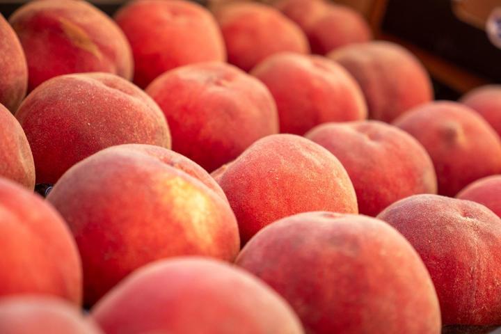 Producteur de fruits et légumes à Lamotte-du-Rhône