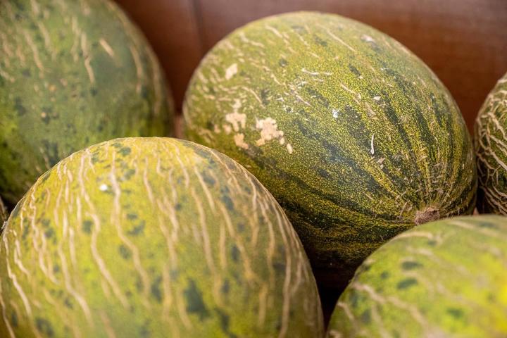 Producteur de fruits et légumes à Lamotte-du-Rhône